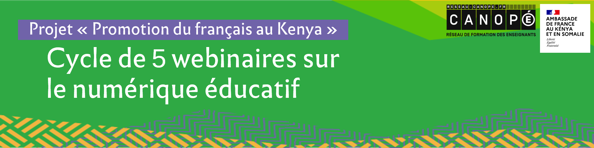 Annonce du cycle de 5 webinaires Réseau Canopé sur le numérique éducatif